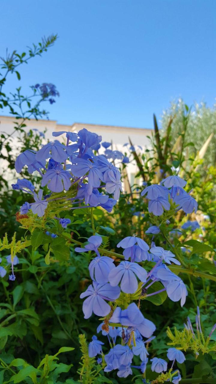 The Proud Garden Bed and Breakfast Carovigno Exteriör bild